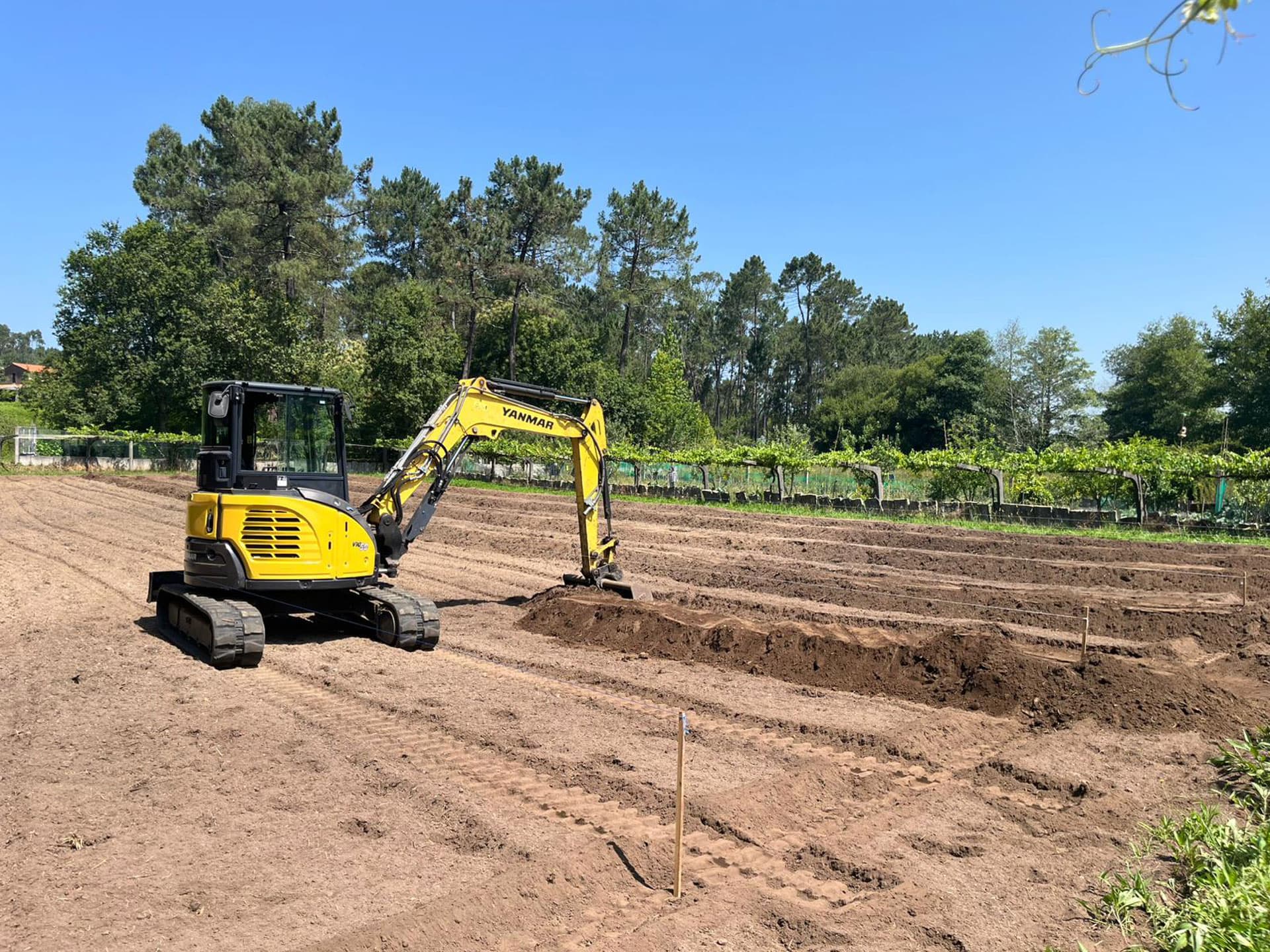 ¿Buscas presupuesto para una excavación en Pontevedra?
